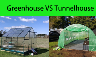 Polytunnel Greenhouse vs Aluminum Greenhouse: Choosing the Right Shelter for Your Plants