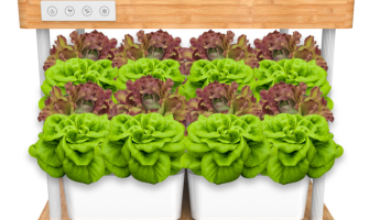 5 Advantages Of Hydroponic
