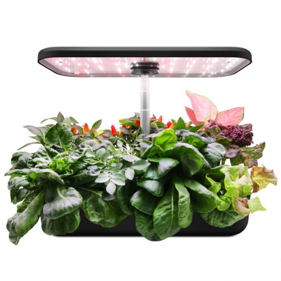 Mini Indoor Smart Plant Grower Indoor Hydroponic Planter Flower 12 Pot - Black