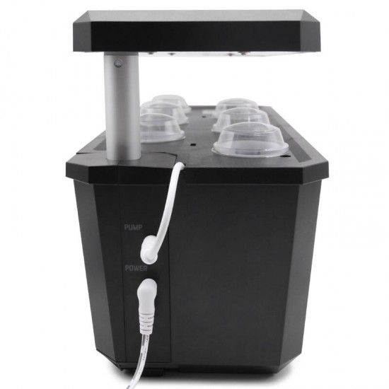Indoor Smart Garden Hydroponic Cheap Mini Desktop Flower 6 Pots - Black