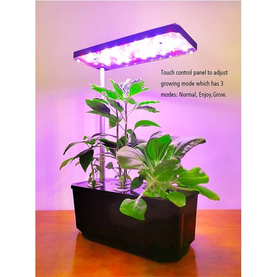 Indoor Smart Garden Hydroponic Cheap Mini Desktop Flower 6 Pots - Black